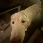 Profile Picture of Kennedy Pickens (@Kennedy-Pickens) on Facebook