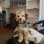 Profile Picture of Graham Wells (@mynameis_graham) on Instagram