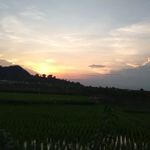 Profile Picture of Goutom Paul (@goutom716) on Instagram