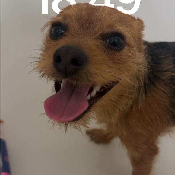 Profile Picture of Lucas Oppliger (@loppliger1) on Poshmark