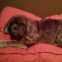 Profile Picture of Nancy Benware (@nancy-benware) on Quora