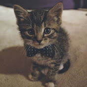 Ann-Kathrin Zinser - Youtube Profile Picture of Ann-Kathrin Zinser (@ann-kathrinzinser3940) on Youtube