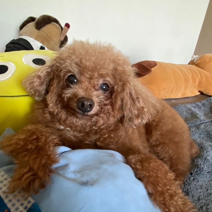 Profile Picture of edspot (@edspot) on Tiktok