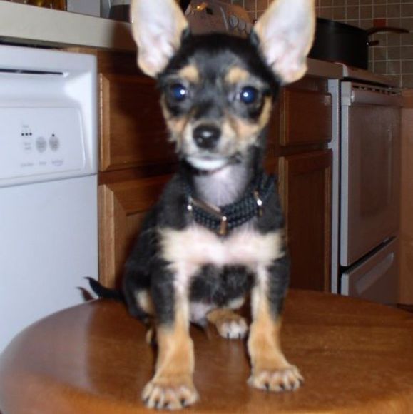 Leezer Na - Poshmark Profile Picture of Leezer Na (@leezerna) on Poshmark