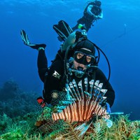 Profile Picture of Lucy Wilde (@lucy-wilde-20) on Quora