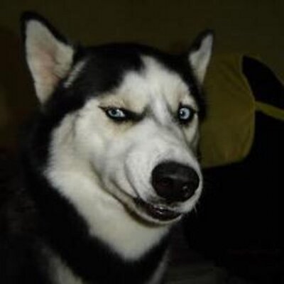 Profile Picture of David Britton (@Lance_141) on Twitter