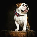 Profile Picture of George Jolly (@kachapilly__kid) on Instagram