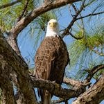 Profile Picture of Mark Makowski (@merica2018corvette) on Instagram