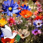 Profile Picture of Jacob Martine (@Jacob-Martine) on Facebook