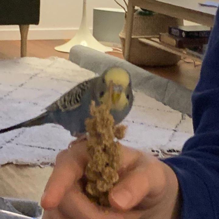 Profile Picture of torijacobsen2 (@torijacobsen2) on Tiktok