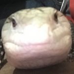 Profile Picture of Ricardo Zamarron (@lizard_king_owo) on Instagram