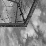 Profile Picture of darlington (@roxanne454) on Instagram