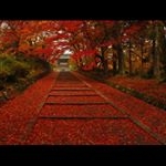 Profile Picture of Tsui-Hung Chang (@tsuihungchang) on Instagram