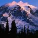 Profile Picture of Adam Harmon (@adamh2862) on Pinterest