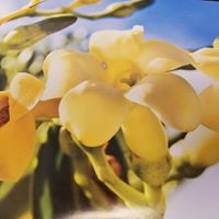 Profile Picture of Renee Mertens Valladares (@renee-mertens-valladares) on Quora