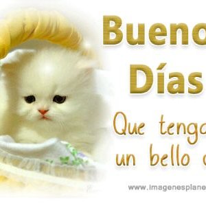 Josefina Roman - Twitter Profile Picture of Josefina Roman (@JosefinaRoman19) on Twitter