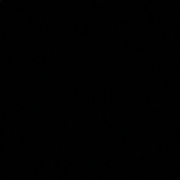 Profile Picture of Debra Wiesenberger (@djwies) on Poshmark