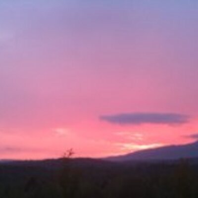 Profile Picture of Matt (@MattMartyn1) on Twitter