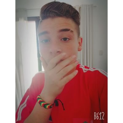 Profile Picture of Joel Scheffer (@joelzinhochave) on Twitter