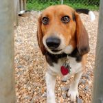 Profile Picture of Beverly Hughes (@beverly.hughes.59) on Instagram