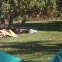 Profile Picture of Jeff Dorman Jr (@JeffDormanJr1) on Twitter