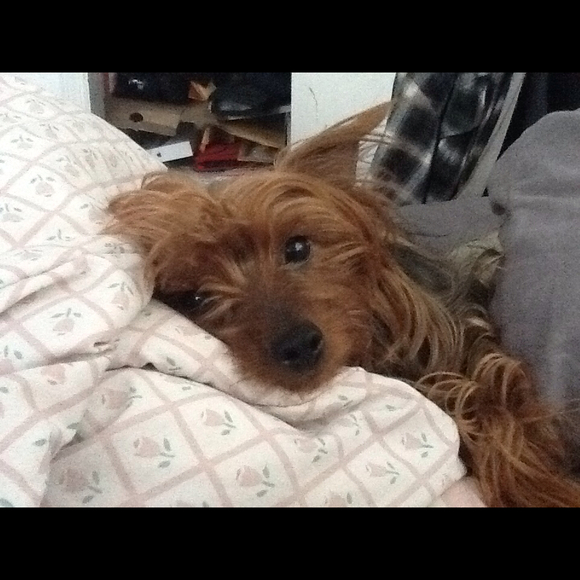 Profile Picture of Lindita Chappelle (@lindita) on Poshmark