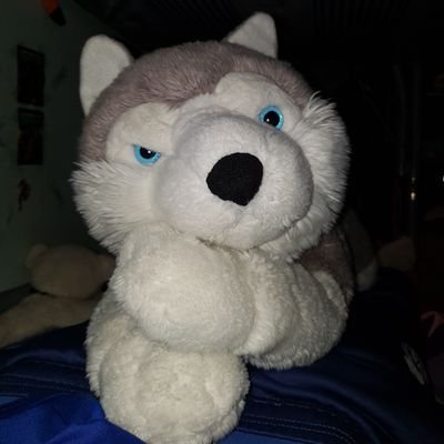 Profile Picture of Captain_Arik (@Ariel69973204) on Twitter