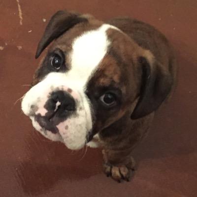 Profile Picture of Stephen D. Hazlewood (@sdhazlewood) on Twitter