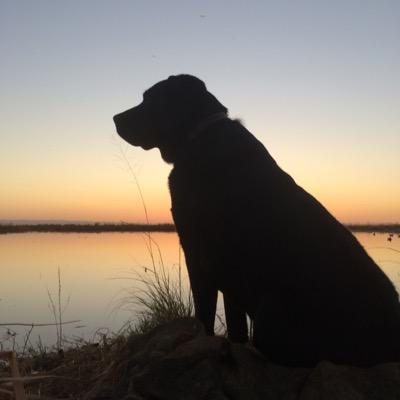 Profile Picture of Michael Pruden (@mpruden383) on Twitter