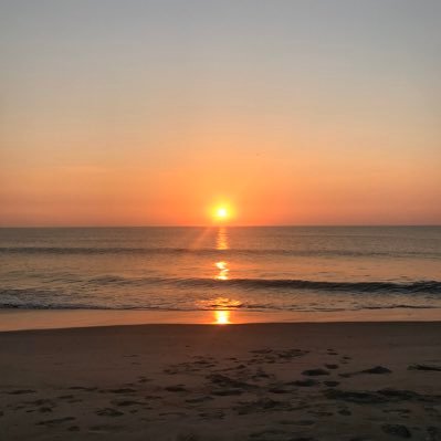 Profile Picture of Pam Emerson (@emersonpam320) on Twitter