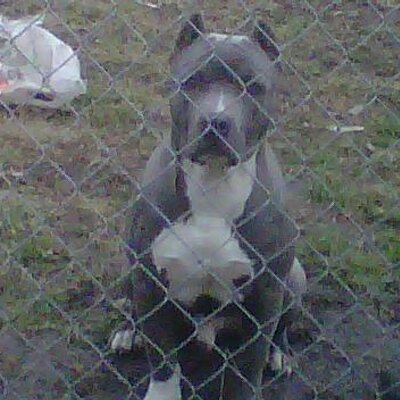 Profile Picture of Avery Lampkin (@tipuhdaiceburg) on Twitter