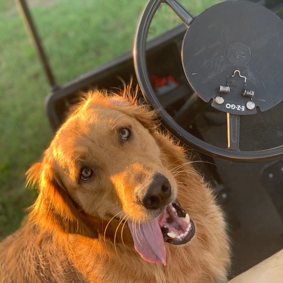 Profile Picture of Cori Ground (@corig22) on Poshmark