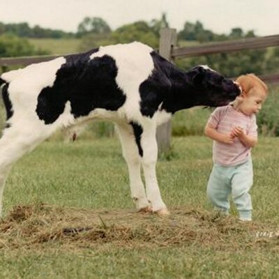 Profile Picture of Pamela Mudd (@Red_Head_18) on Twitter