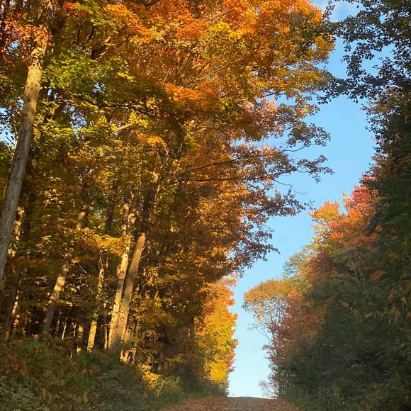 Profile Picture of Angela Eichorst (@eichorst6) on Poshmark