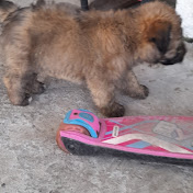 Profile Picture of Gladis Fuentes (@gladisfuentes525) on Youtube