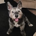 Michael Dorgan - Facebook Profile Picture of Michael Dorgan (@michael.dorgan.58) on Facebook