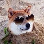 Profile Picture of Alexander Fedorov (@nikisa36848) on Instagram