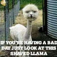 Profile Picture of Benjamin Ellis (@benjamin-ellis-18) on Quora