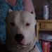 Profile Picture of Matthew Kellner (@matthew.kellner.1) on Facebook