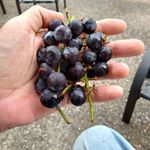 Profile Picture of Wayne Eversole (@wayne.eversole.524) on Instagram