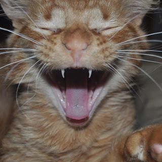 JoEllen McHale - Facebook Profile Picture of JoEllen McHale (@jol.mchale) on Facebook