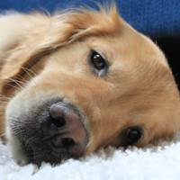 Profile Picture of Max Ralston (@max-ralston-5) on Quora