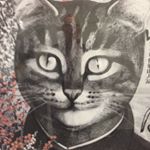 Profile Picture of Peter Makowski (@iggaborra) on Instagram