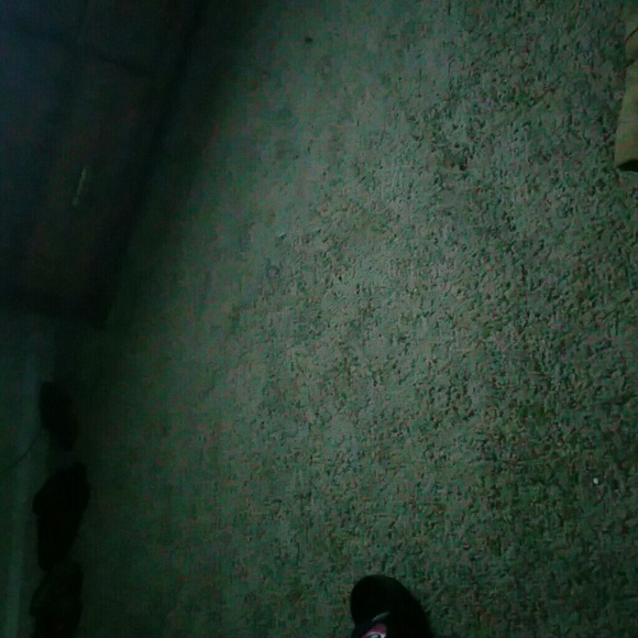 Profile Picture of Brendecia Mcgrone (@bmcgrone) on Poshmark