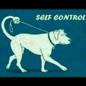 Profile Picture of SAUL SOLOMON (@saulsolomon4982) on Youtube