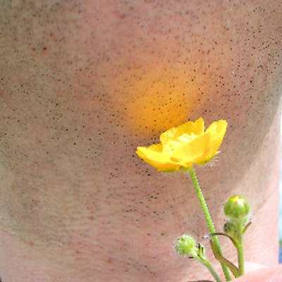 Profile Picture of Neil Vance (@NeilVance68) on Twitter