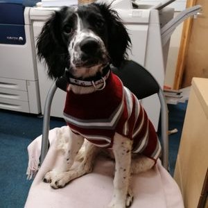 Joann McMaster - Twitter Profile Picture of Joann McMaster (@joann_mcmaster) on Twitter