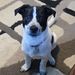 Profile Picture of Heidi Hanken (@boo021465) on Pinterest
