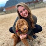 Profile Picture of Erica Holley (@ericaleigh1997) on Instagram