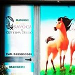 Carlo Savoca - Instagram Profile Picture of Carlo Savoca (@savoca_mangimi) on Instagram